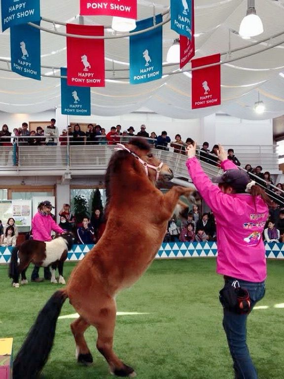 北海道馬主題公園親子半日遊推介 🐴