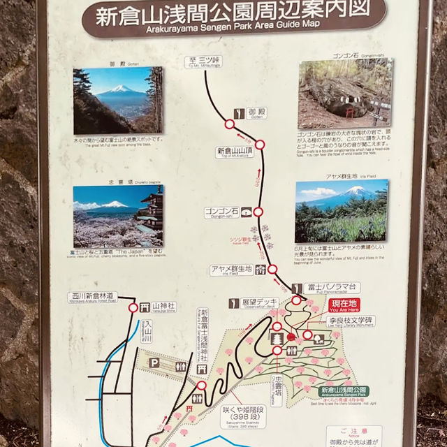 🏔「鳥居、五重塔與富士山同框，這就是日本最經典的風景。」