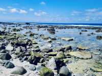 🌊「海是藍的,風是鹹的,蘭嶼是靈魂自由的方向。」