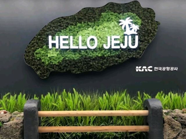 ์๋ฆ๋ต๊ณ  ๋๋ผ์ด ์ ์ฃผ๋!! ์๋ฆ๋ต๊ณ  ๋๋ผ์ด ์ ์ฃผ๋!!