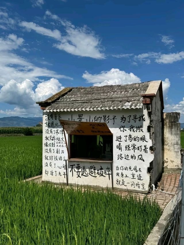 The Blue Soul of Dali: Erhai Lake