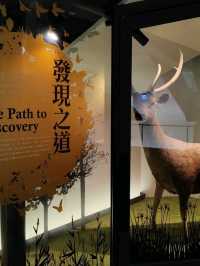 台北親子行程攻略|臺灣博物館探索記