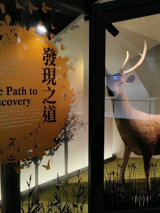 台北親子行程攻略|臺灣博物館探索記 台北親子行程攻略|臺灣博物館探索記