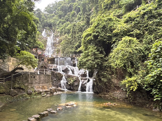 Chillin’ at 鼎湖山: Scenic Vibes & Insta-Worthy Spots 📸🌳