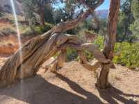 Bryce Canyon National Park