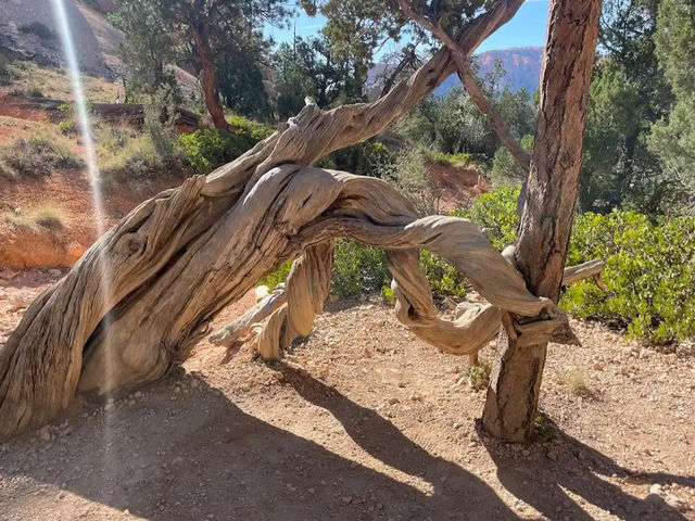 Bryce Canyon National Park