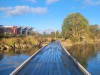 Quiet morning walk along Lake Rotorua boardwalk and Government Gardens