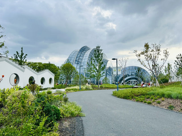 🌿 Discover Shanghai Botanical Garden: A Peaceful Green Escape in the City