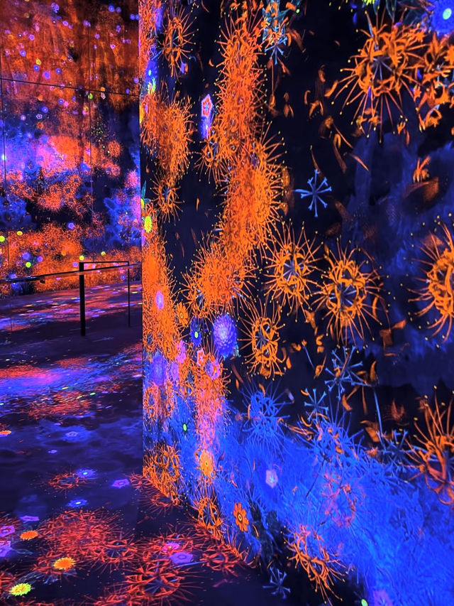 🎨 รีวิว MORI Building DIGITAL ART MUSEUM: teamLab