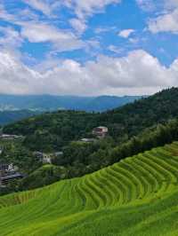 Discover Longji: China’s Stairway of Rice and Wonder