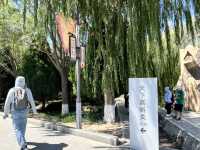 ✨ Highlights of the Silk Road Journey Through Gansu ✨