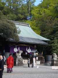 宇都宮中心部に鎮座する神社 餃子おみくじがある