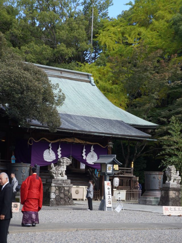 宇都宮中心部に鎮座する神社 餃子おみくじがある