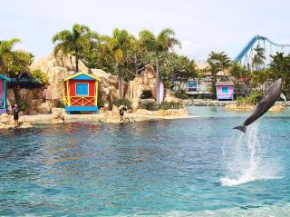 🐠 Sea World Australia Guide 🇦🇺🌊