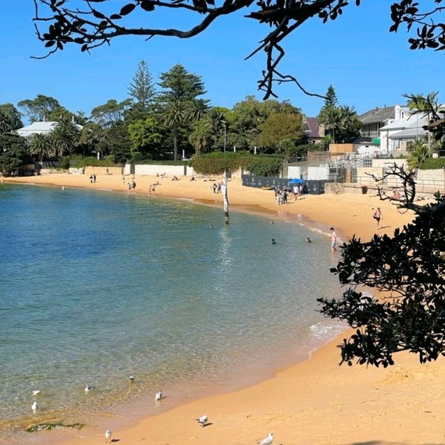 悉尼邦迪海灘到庫吉海灘:絕美海岸徒步之旅 悉尼邦迪海灘到庫吉海灘:絕美海岸徒步之旅