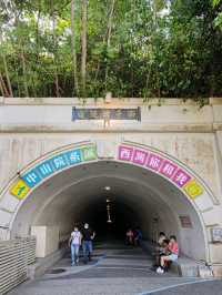 深度漫遊高雄城市之旅#高雄城市遊#高雄市