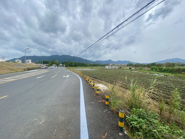 陰晴樹影下的野外漫步體驗🌴三坑鎮的水鄉風情和傳統墟市🌟 陰晴樹影下的野外漫步體驗🌴三坑鎮的水鄉風情和傳統墟市🌟