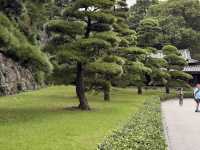 Imperial Palace East National Gardens