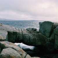 The Blow Holes