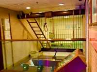 Hong Kong Correctional Services Museum — Behind the Prison Walls