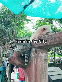 Farm In The City: An Interactive and Educational Wildlife Experience for Families 