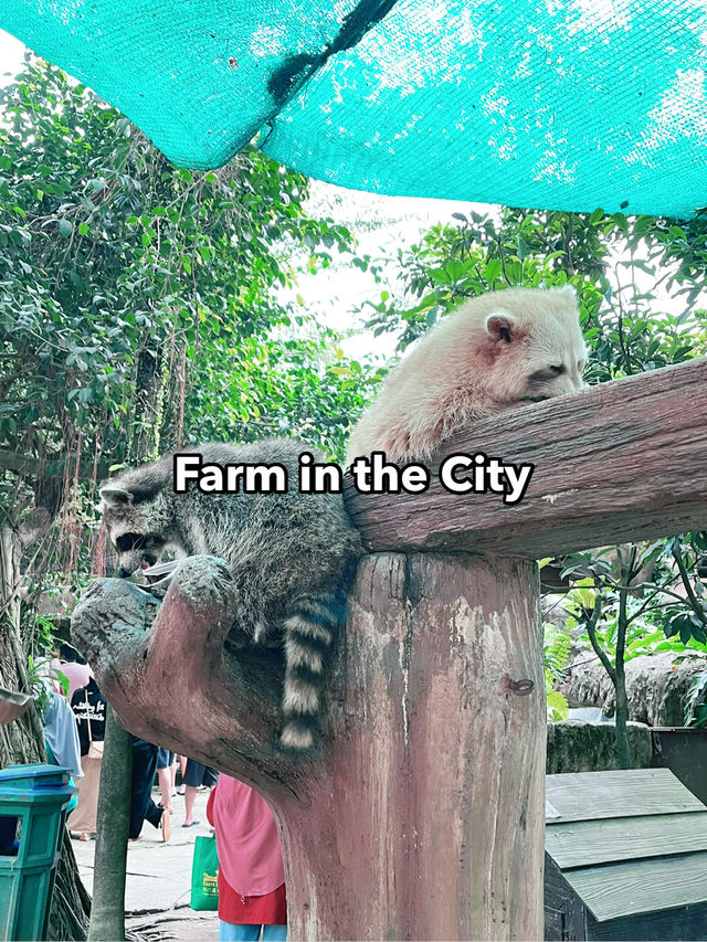 Farm In The City: An Interactive and Educational Wildlife Experience for Families 