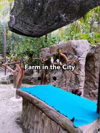 Farm In The City: Interactive Wildlife Experience for the Whole Family