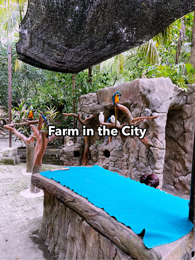 Farm In The City: Interactive Wildlife Experience for the Whole Family