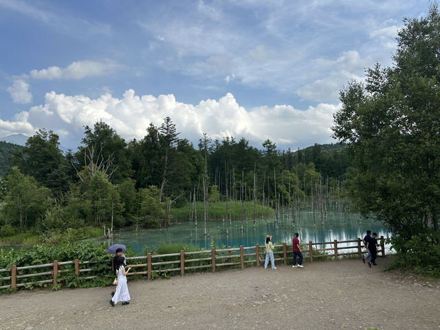 北海道—青池
