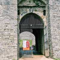 Where Sea Meets Stone: A Solo Escape to Oystermouth Castle