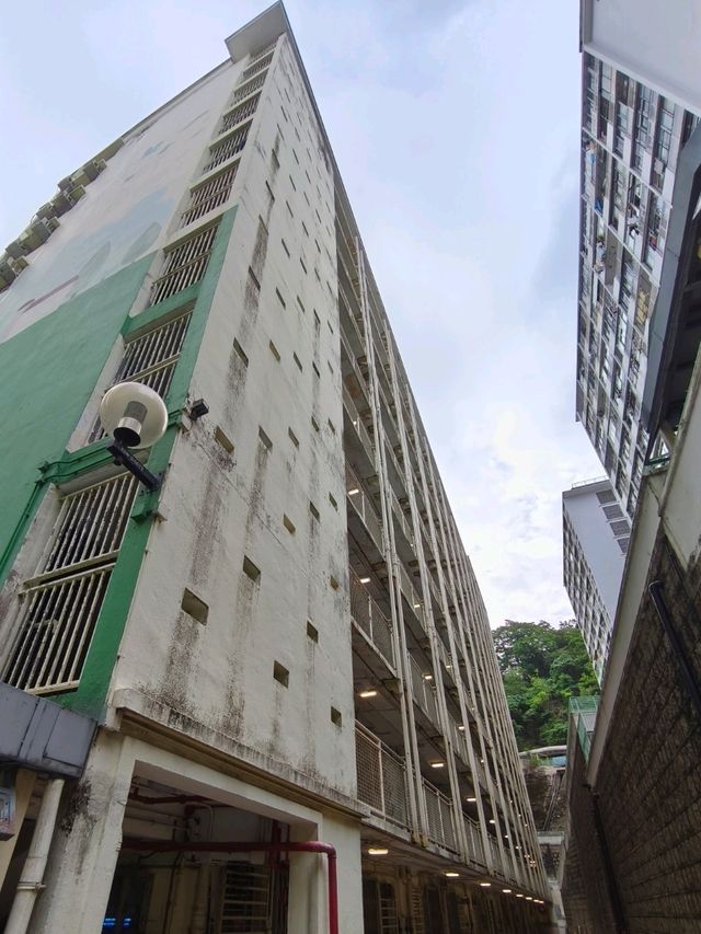 【西環邨】是我童年快樂回憶,陪我長大之好伴侶! 【西環邨】是我童年快樂回憶,陪我長大之好伴侶!