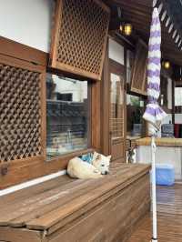 전주 여행 다녀오세요 🩵