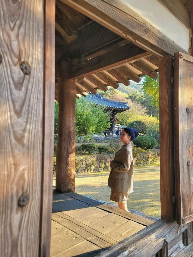 가을이 오면 꼭 가야할 은행나무명소💛