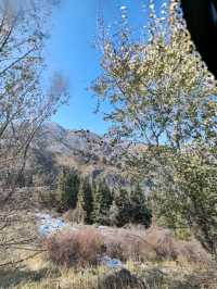 Mountains and Rivers on the Return Journey