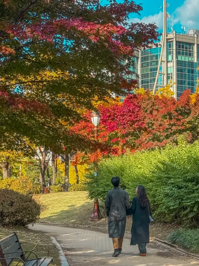 在首爾欣賞秋季風景的好去處「汝矣島公園」