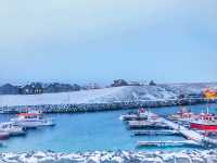 🌤 มองเมืองจากยอดโบสถ์ Hallgrímskirkja