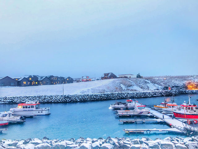 🌤 มองเมืองจากยอดโบสถ์ Hallgrímskirkja 🌤 มองเมืองจากยอดโบสถ์ Hallgrímskirkja