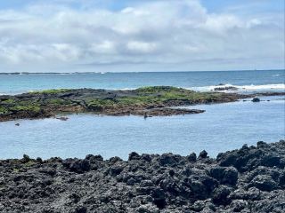 Islote Las Tintoreras: Encounter Marine Wonders