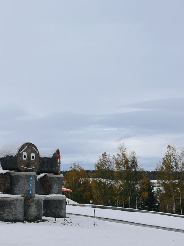 사계체의 언덕 소품샵