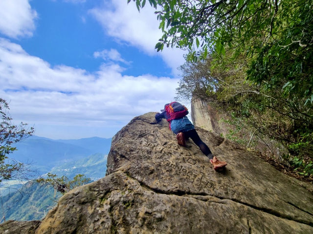 櫻花竹林秘境．石壁山壯麗之旅