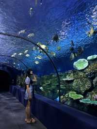 Siem Reap, Ancient Escape 🌿