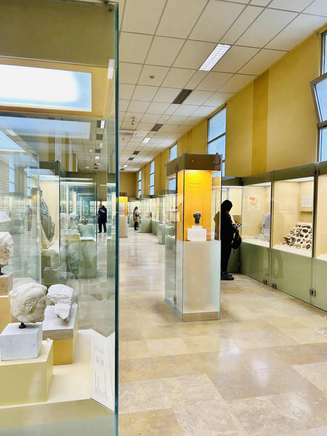 Socrates Steps🏛️ 