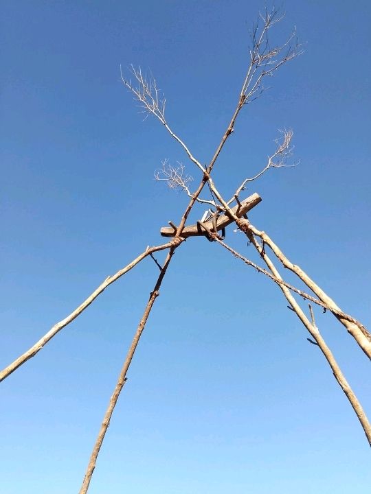 เติมป่าเติมดอยกับผาฮี้ที่เชียงราย