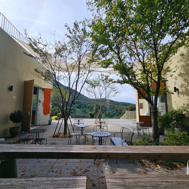 서울근교카페추천💕 커피 베이커리 맛집 카페디