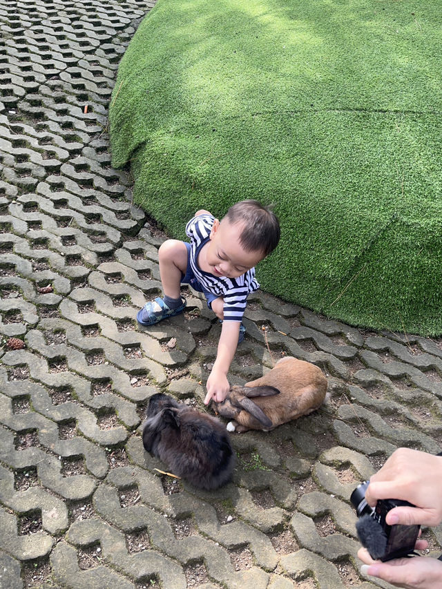 Orchid Forest cikole Orchid Forest cikole