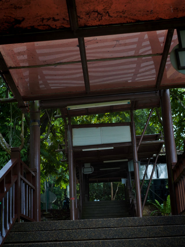 🍃 Putrajaya Botanical Garden: Calm, Green, and Refreshing 🍃