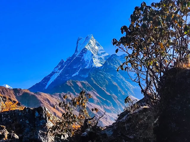 Beneath the Stone and Sky: A Geologic Prayer on the Mardi Himal Trek Beneath the Stone and Sky: A Geologic Prayer on the Mardi Himal Trek
