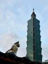 Golden Hour Stroll at Taipei 101: Sunset Vibes & Insta-Worthy Moments 🌇✨