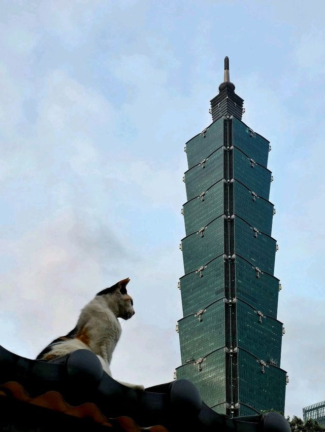 Golden Hour Stroll at Taipei 101: Sunset Vibes & Insta-Worthy Moments 🌇✨ Golden Hour Stroll at Taipei 101: Sunset Vibes & Insta-Worthy Moments 🌇✨