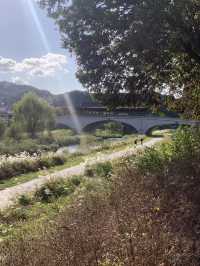 전주 따릉이 여행 코스 🚲